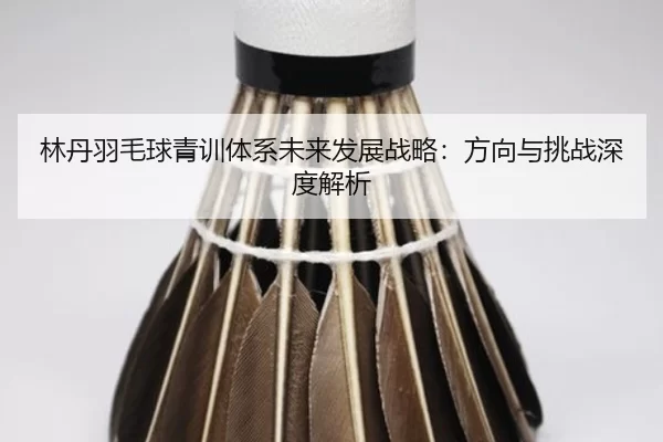 林丹羽毛球青训体系未来发展战略：方向与挑战深度解析