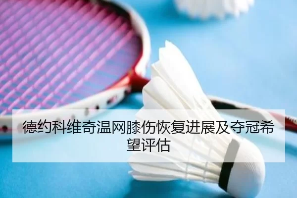 德约科维奇温网膝伤恢复进展及夺冠希望评估