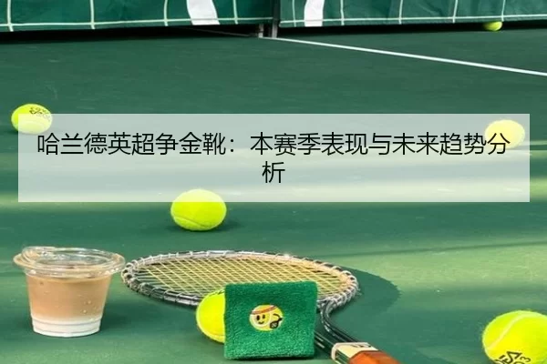 哈兰德英超争金靴：本赛季表现与未来趋势分析